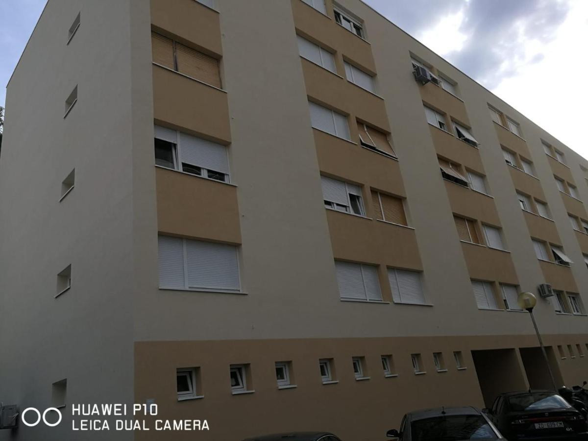 Apartment Mihaela Zadar